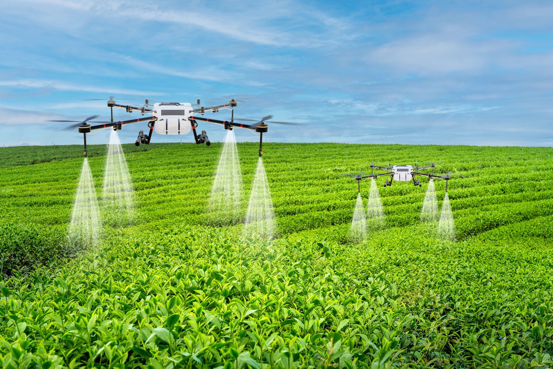 Precision Agriculture Drones Spraying Crops in Lush Green Field